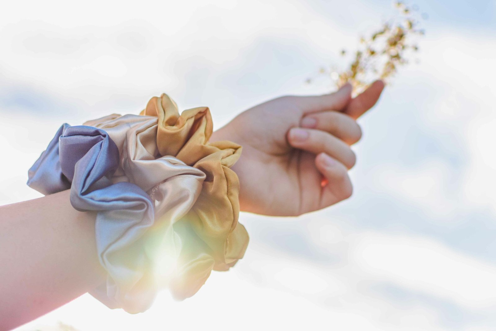 person holding yellow and blue flower